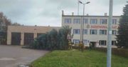 Bytów: Świerk przy komendzie straży pożarnej usunięty z powodu choroby
