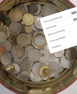 Monety warte fortunę. Polacy potrafią na nich zarobić nawet kilkaset tysięcy zł