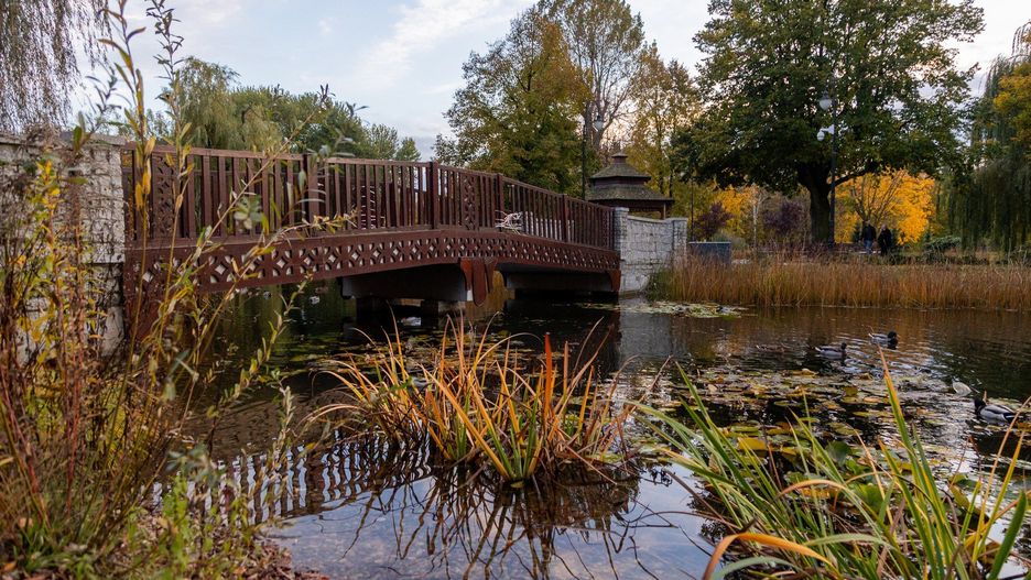 Mostek pozwalający dojść do altany.