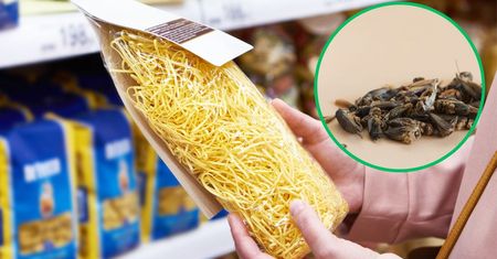 Ten króciutki kod oznacza mąkę ze świerszczy. Tylko spojrzysz i wiesz, czy produkt ją zawiera