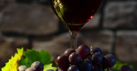 Wino stołowe barbera (czerwone)