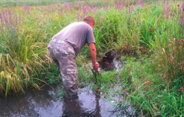 Podlasie: trwają poszukiwania człowieka, który przywiązał psa do pnia na środku rozlewiska