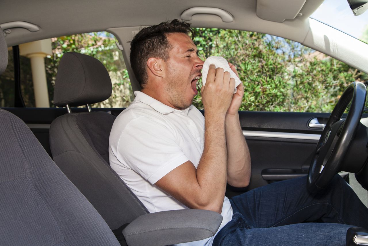 Alergik w samochodzie