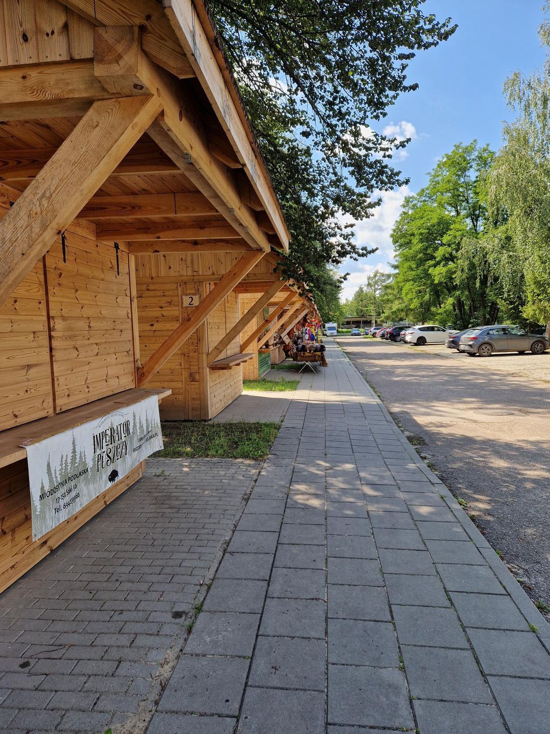 Białowieża