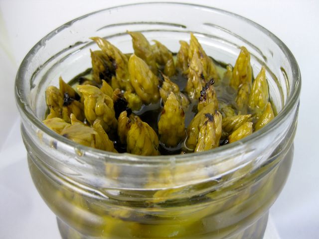 Szparagi w słoiku (produkt i płyn)