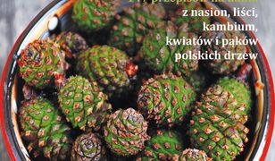 Smakowite drzewa