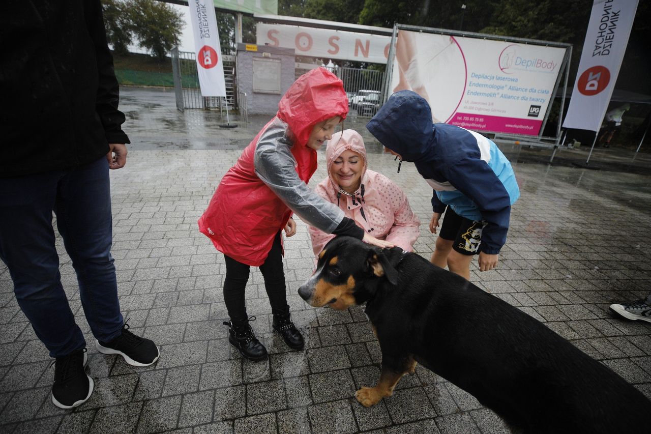Sosnowiec: Biegamy - Pomagamy - Bieg dla schroniska