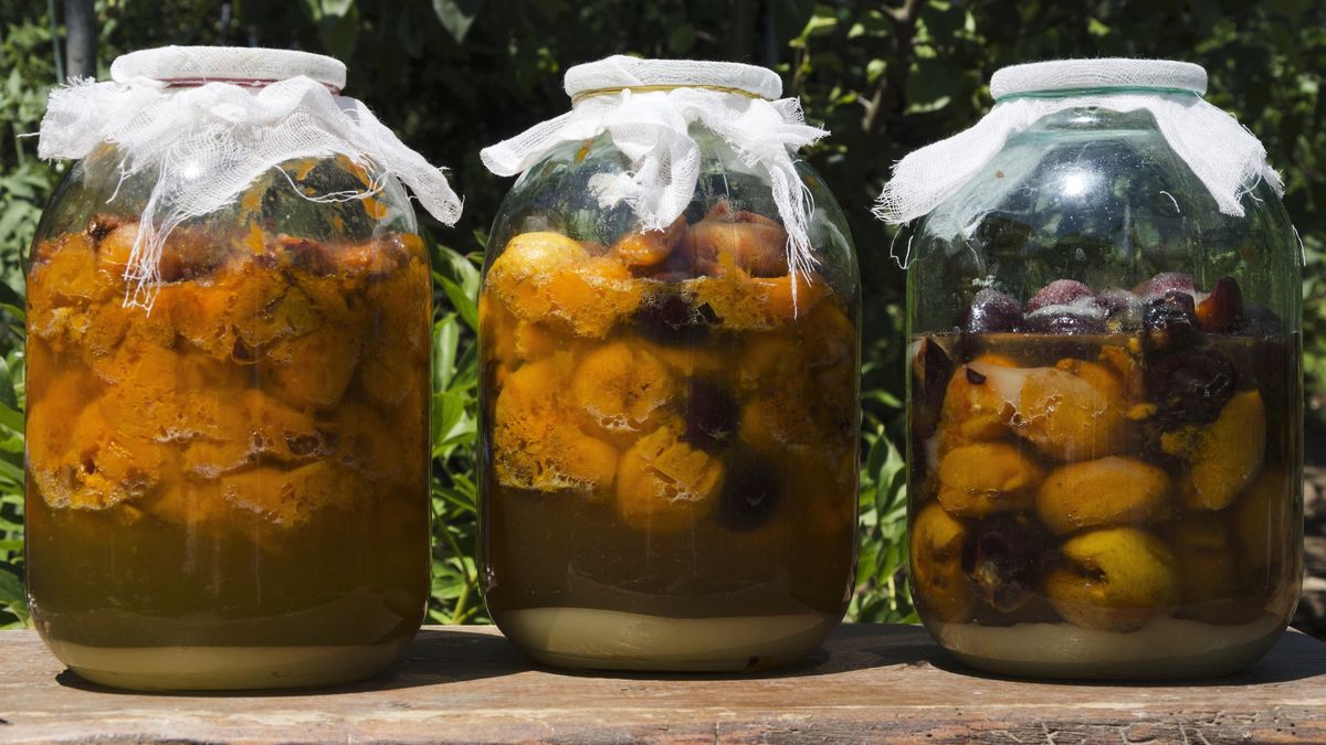 Nalewka ze śliwek ma działanie prozdrowotne