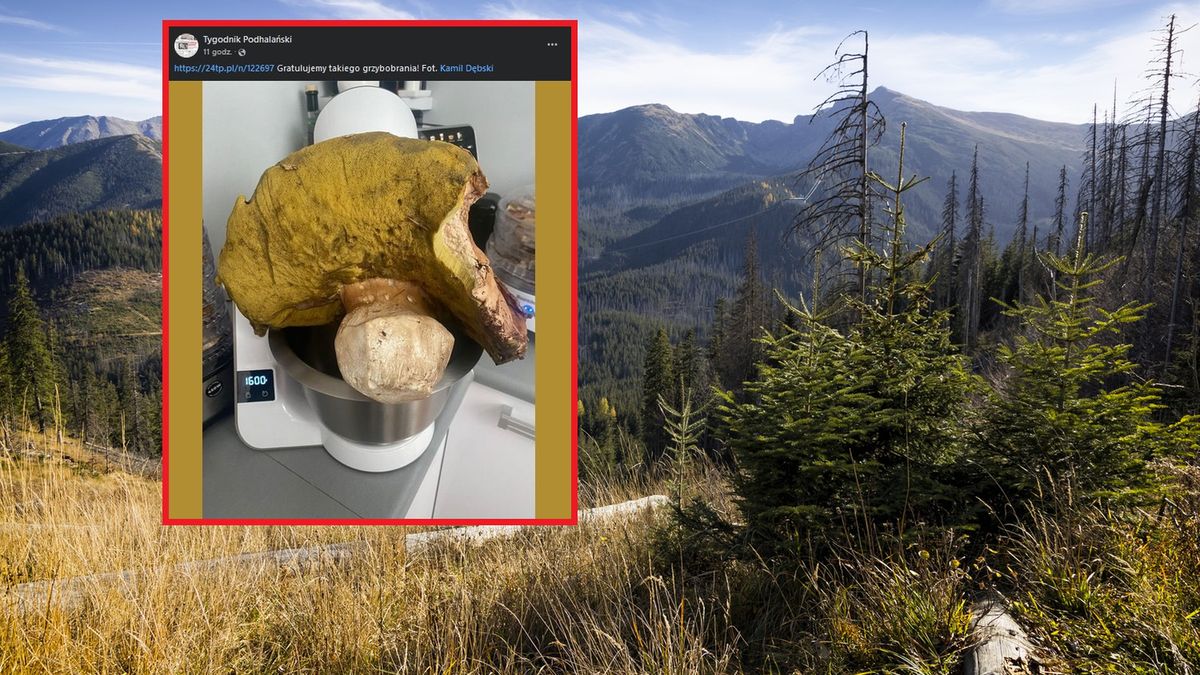 Vacations in Poland -  Bystra Valley in Tatra Mountains
Vacations in Poland - Bystra Valley in Tatra Mountains.  Kasprowy Wierch with a cable car in the background
ewg3D
