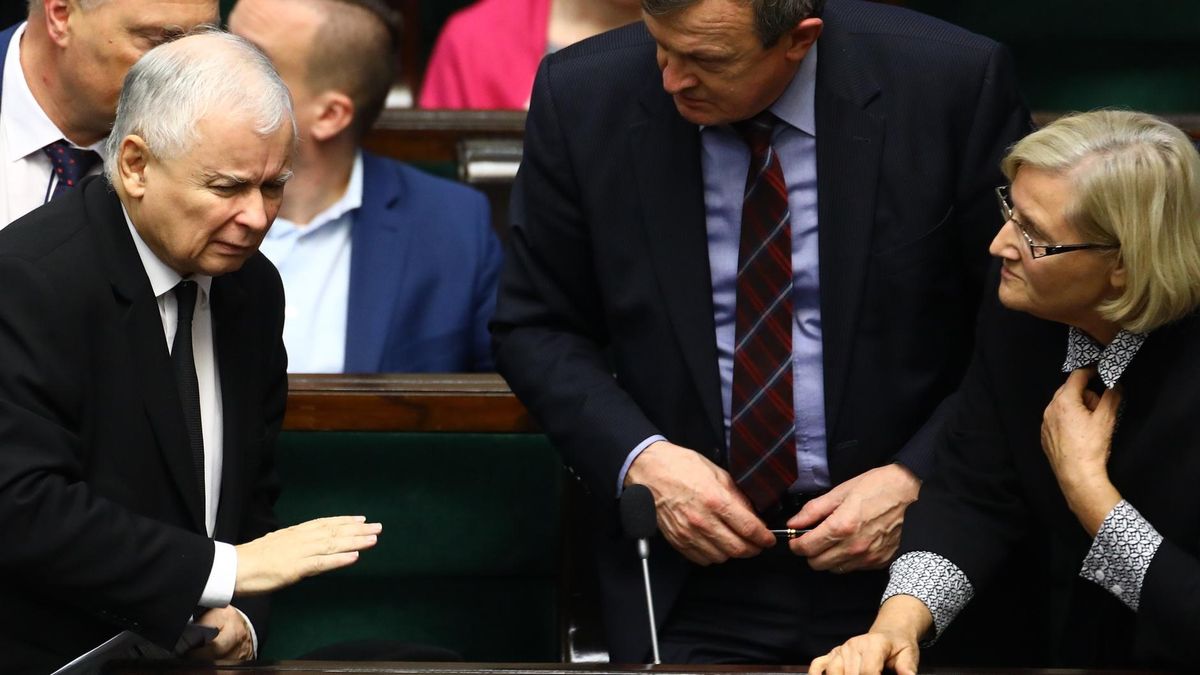 Prof. Józefa Hrynkiewicz twierdzi, że w PiS jest znaczna liczba posłów, którzy oczekują czystki.