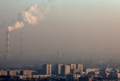 Apelują do premier Szydło o skuteczną walkę ze smogiem