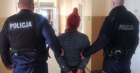 Wyrzuciła kota przez okno. Zwierzak nie przeżył