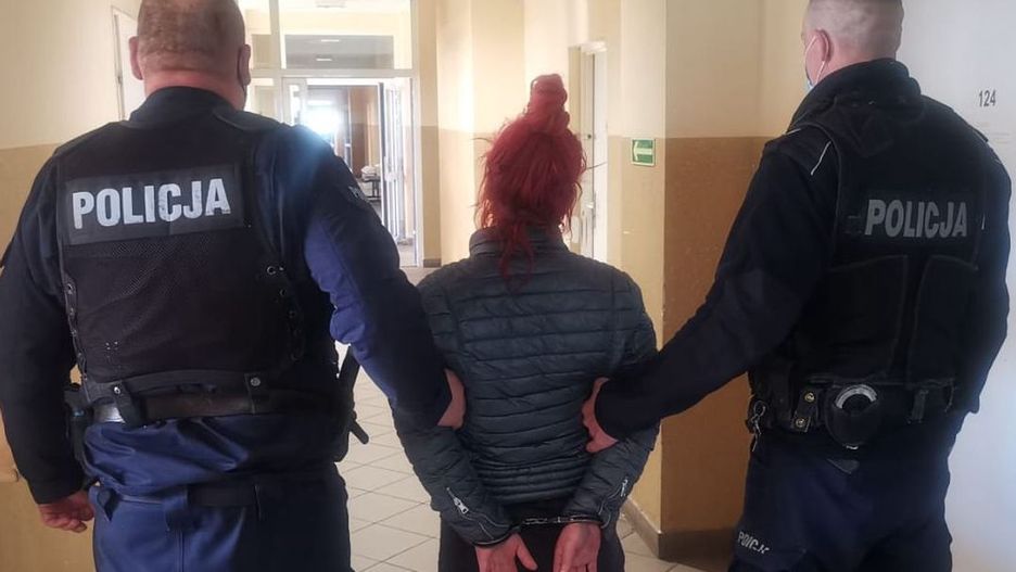 Gdańsk. Wyrzuciła kota przez okno. Zwierzak nie przeżył 