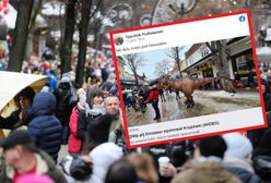 Wzmożone interwencje zakopiańskiej straży. Na Krupówkach doszło do obławy na... dinozaura