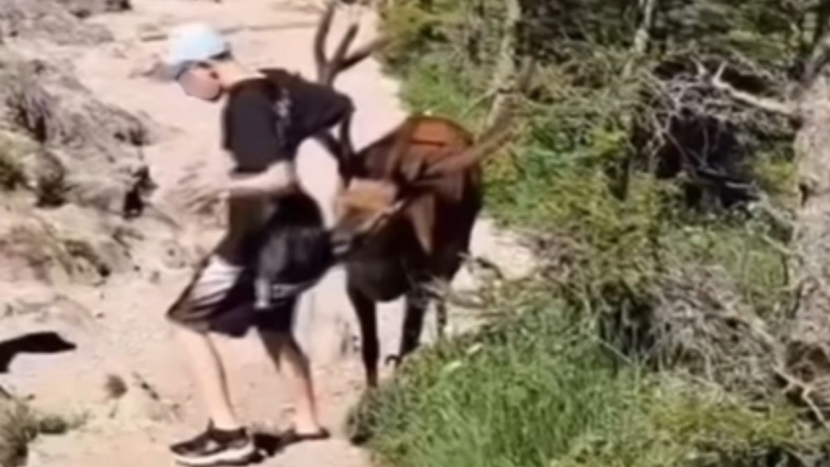 Nagranie z Tatr wywołało ogromne poruszenie.