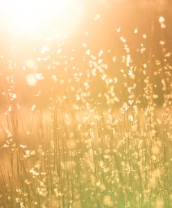 Pogoda na czwartek. Niż Renate nie odpuści