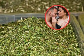 Naturalne afrodyzjaki w kuchni. Sprawiają, że w łóżku jest tylko lepiej