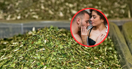 Naturalne afrodyzjaki w kuchni. Sprawiają, że w łóżku jest tylko lepiej