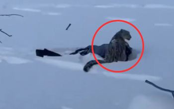 Chciała zrobić zdjęcie. Rzucił się na nią. "Krew spływała po twarzy"