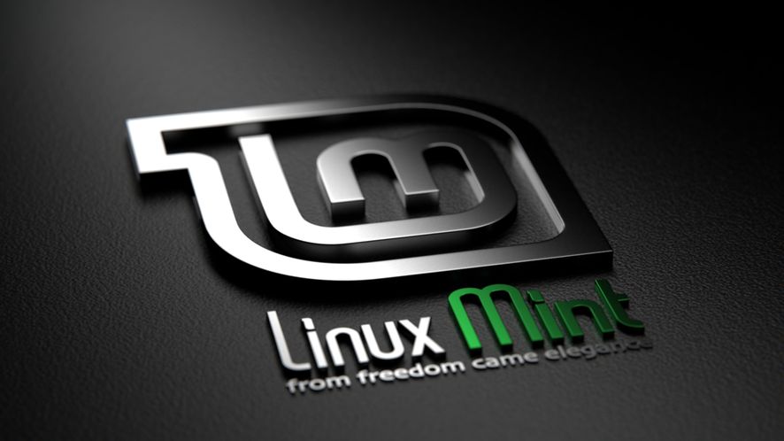 Linux mint висит на логотипе