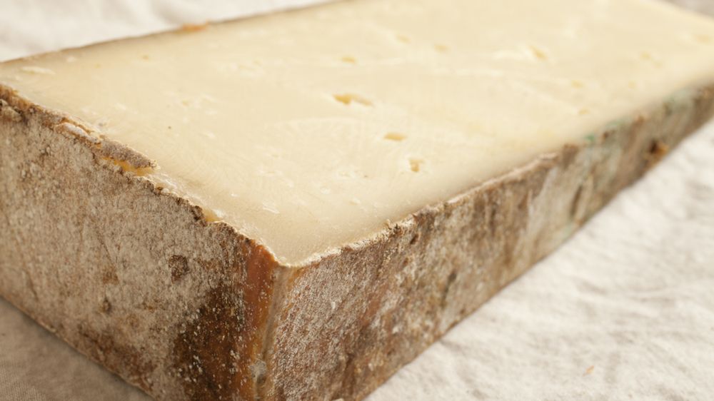 Ser Fontina