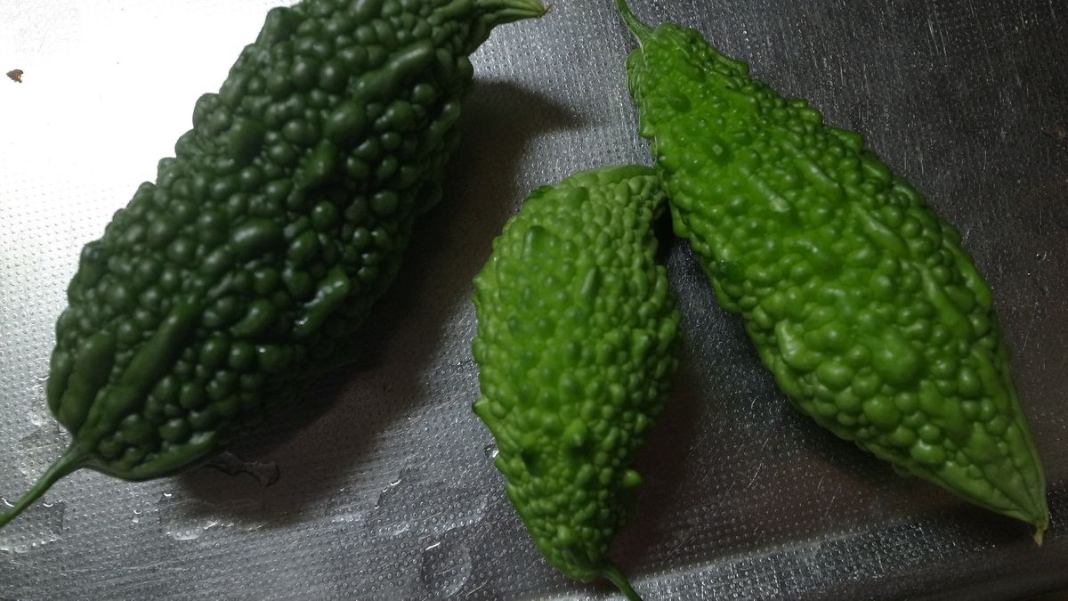 Surowa balsamka ogórkowata