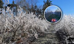 Potężne uderzenie zimna, będzie -10 st. C. Alarm w 15 województwach