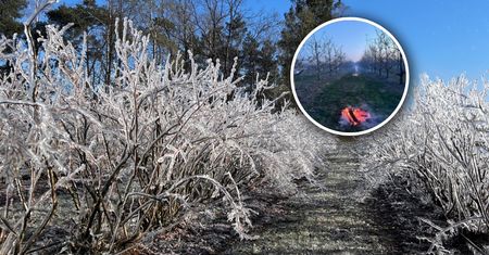 Potężne uderzenie zimna, będzie -10 st. C. Alarm w 15 województwach
