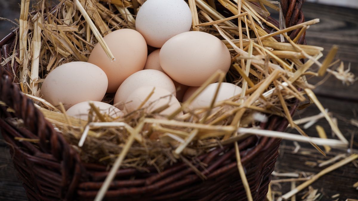 Ceny jaj wyraźnie wyższe przed Wielkanocą niż przed rokiem