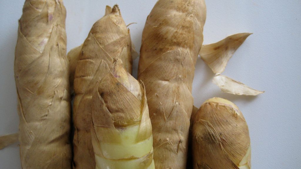 Surowe pędy bambusa