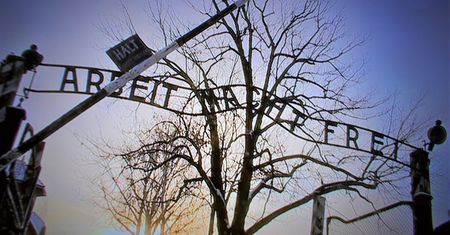 Skandaliczne zachowanie w Auschwitz. Musiała interweniować policja