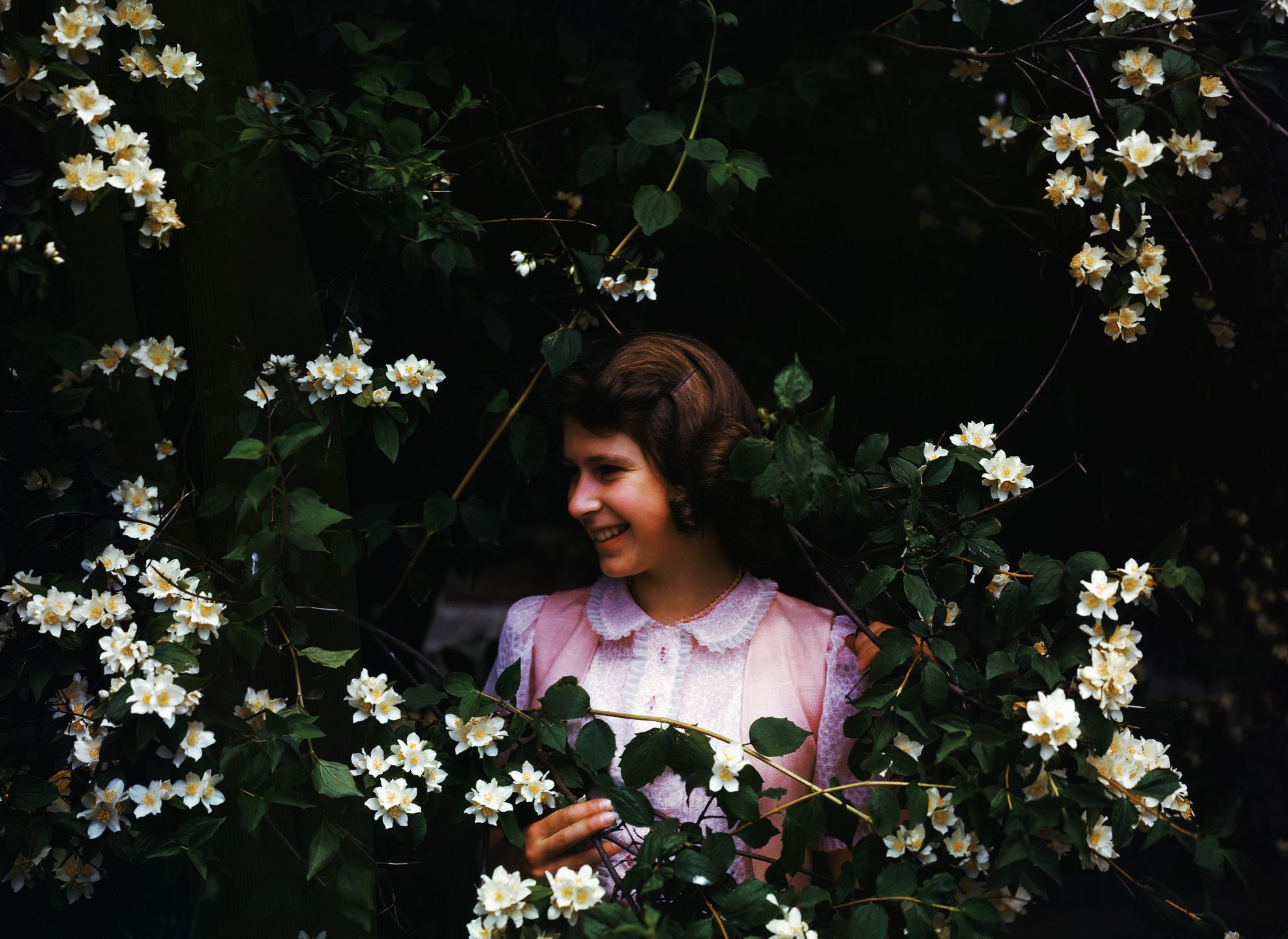 Princess Elizabeth
Princess Elizabeth, aged 15, poses amidst the syringa bushes at Windsor. (Photo by © Hulton-Deutsch Collection/CORBIS/Corbis via Getty Images)
Hulton Deutsch
English:CB2, one person:CB3, Lilac:CB3, prominent persons:CB2, Caucasian ethnicity:CB2, government:CB2, royalism:CB2, teenager:CB2, Windsor Castle:CB1, Queen Elizabeth II:CB3