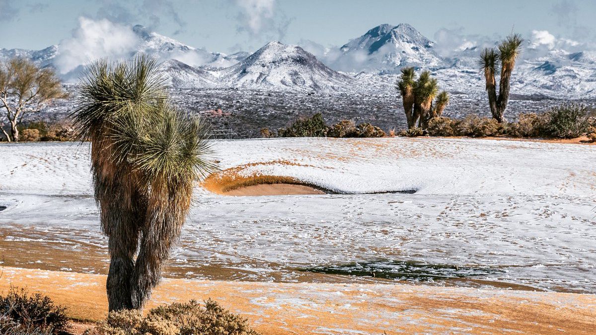 Śnieg spadł na pustyni. Zobacz zdjęcia białego krajobrazu Arizony 1