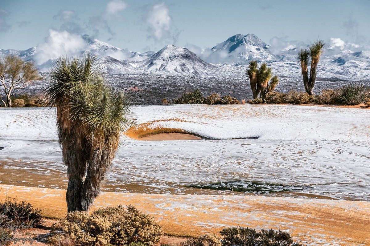 Śnieg spadł na pustyni. Zobacz zdjęcia białego krajobrazu Arizony