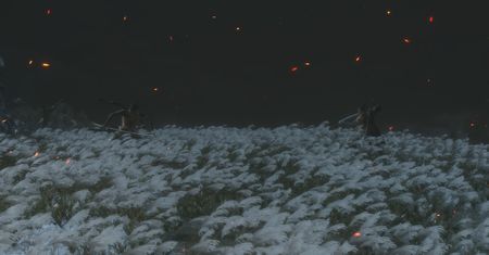 Sekiro - Noob dies twice