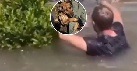 Wyłowili go z Dniepru. Pokazali, co zrobił później