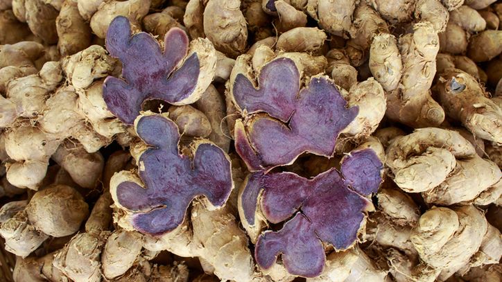 Czarny imbir przyspiesza regenerację po chorobach, wspiera serce