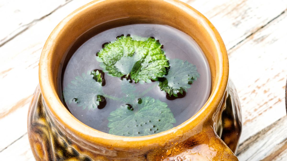 Pokrzywa - Pyszności