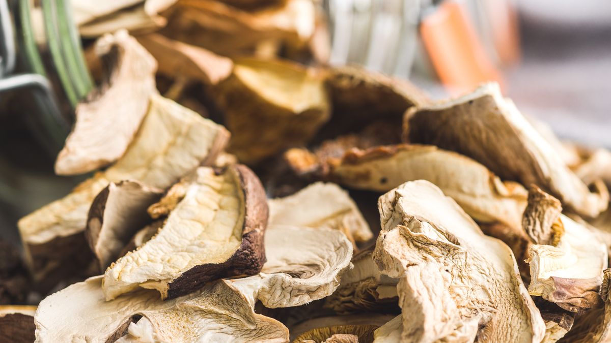 Jak wysuszyć grzyby na słońcu? 