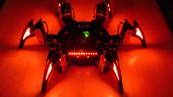 Twój osobisty sześcionóg na posyłki 1