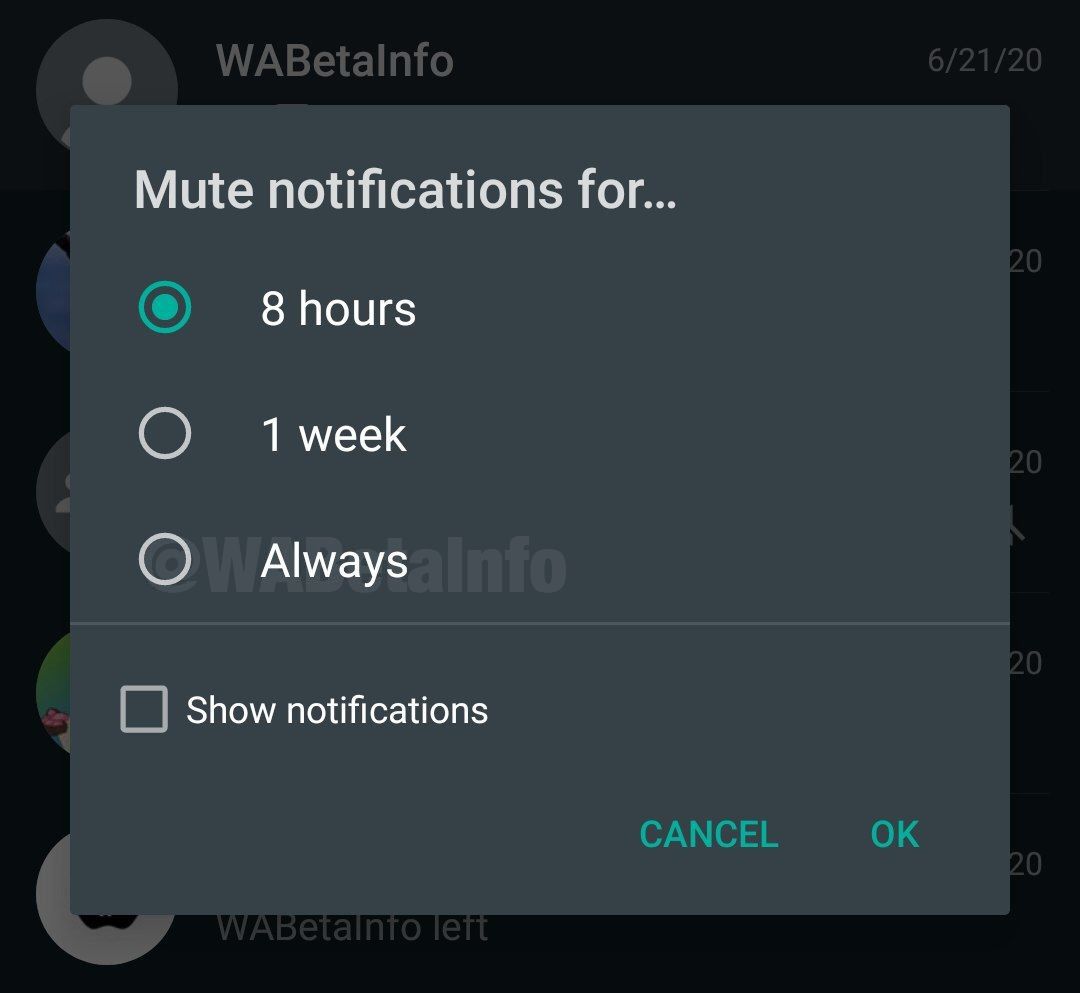 WhatsApp Beta pozwala już teraz wyciszać powiadomienia z konwersacji bezterminowo, fot. WABetaInfo.
