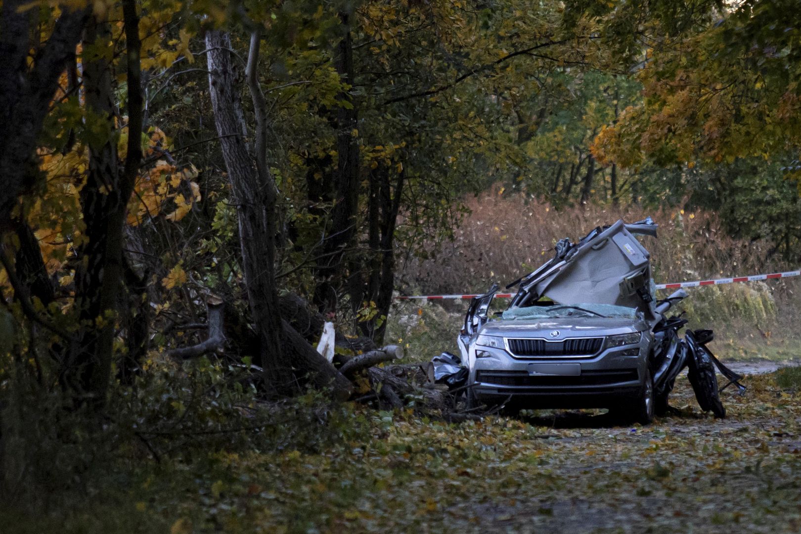 Wrocław. Tragedia spowodowana wichurą. Nie żyje młoda para