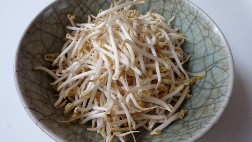 Gotowane kiełki fasoli nerkowatej bez dodatku soli, odsączone