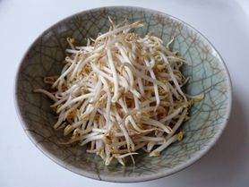 Gotowane kiełki fasoli nerkowatej bez dodatku soli, odsączone
