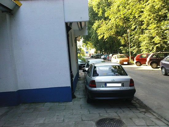 Obraz