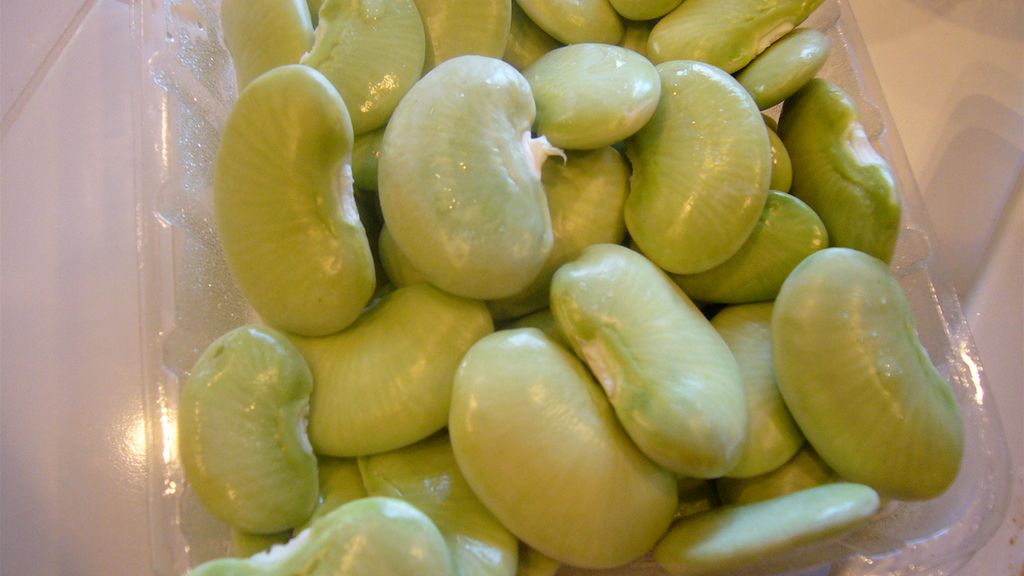 Gotowana młoda fasola limeńska bez dodatku soli, odsączona