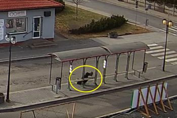 Przez 10 minut nikt nie zareagował. "Znieczulica". Strażacy pokazali nagranie