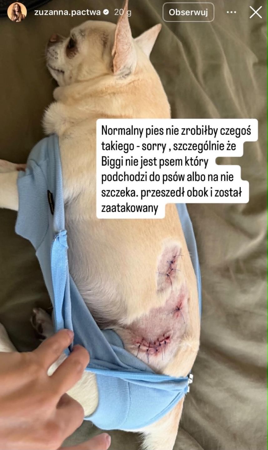 Zuzanna Pactwa miała do czynienia z agresywnym psem