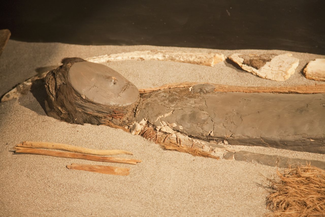 Chile’s ancient mummies face climate change threat