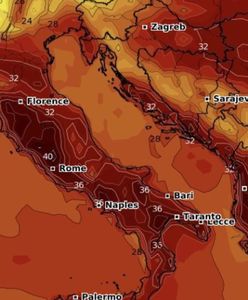 Służby w gotowości. Spodziewają się najwyższej temperatury w roku